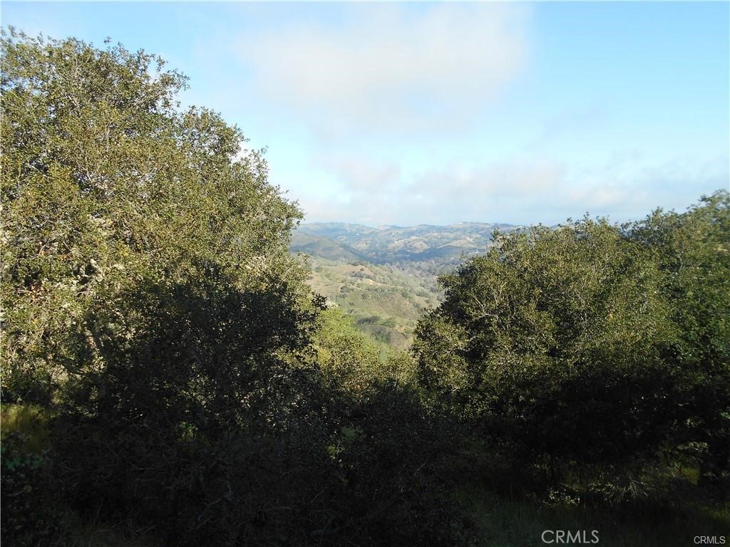 MLS #NS25226732 image #14