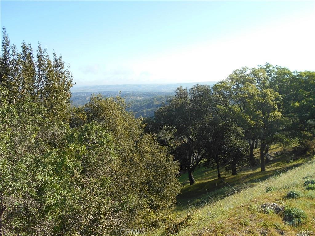 MLS #NS25226732 image #15