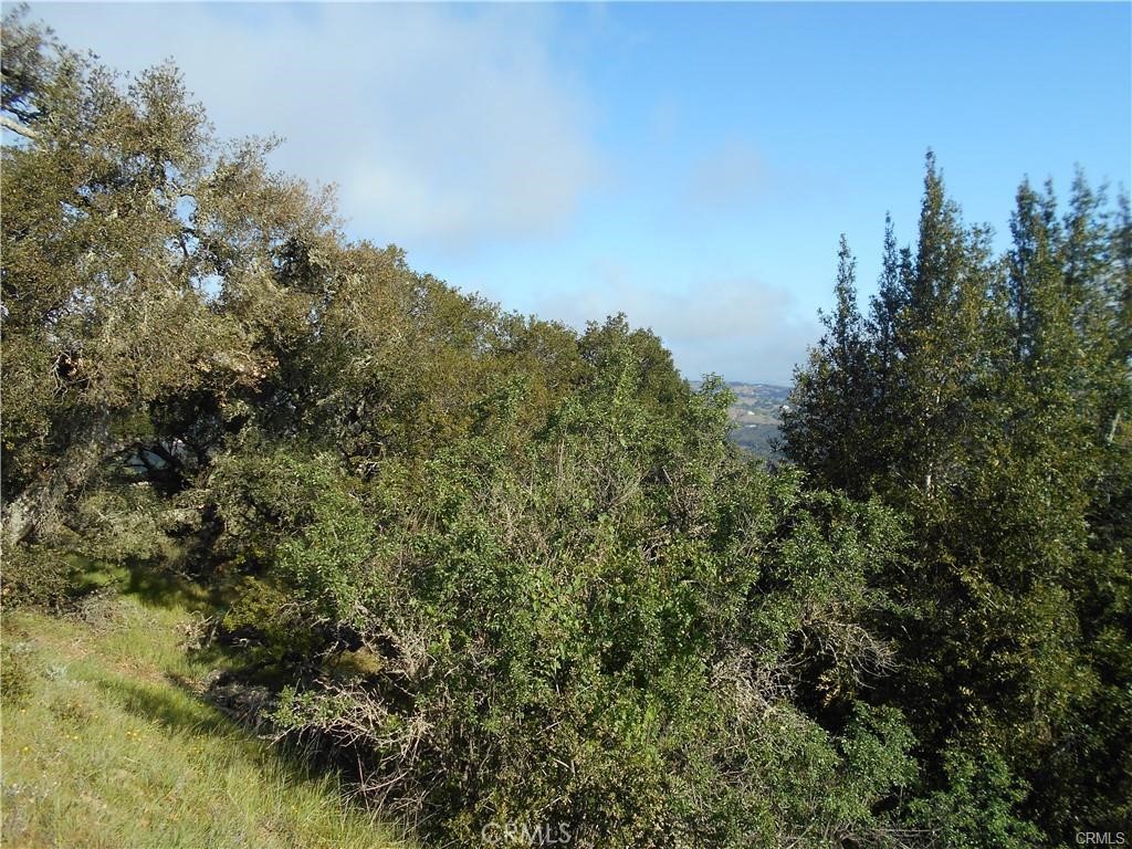 MLS #NS25226732 image #17