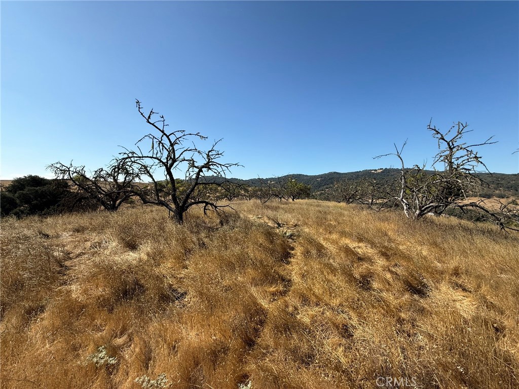 MLS #NS25227175 image #8