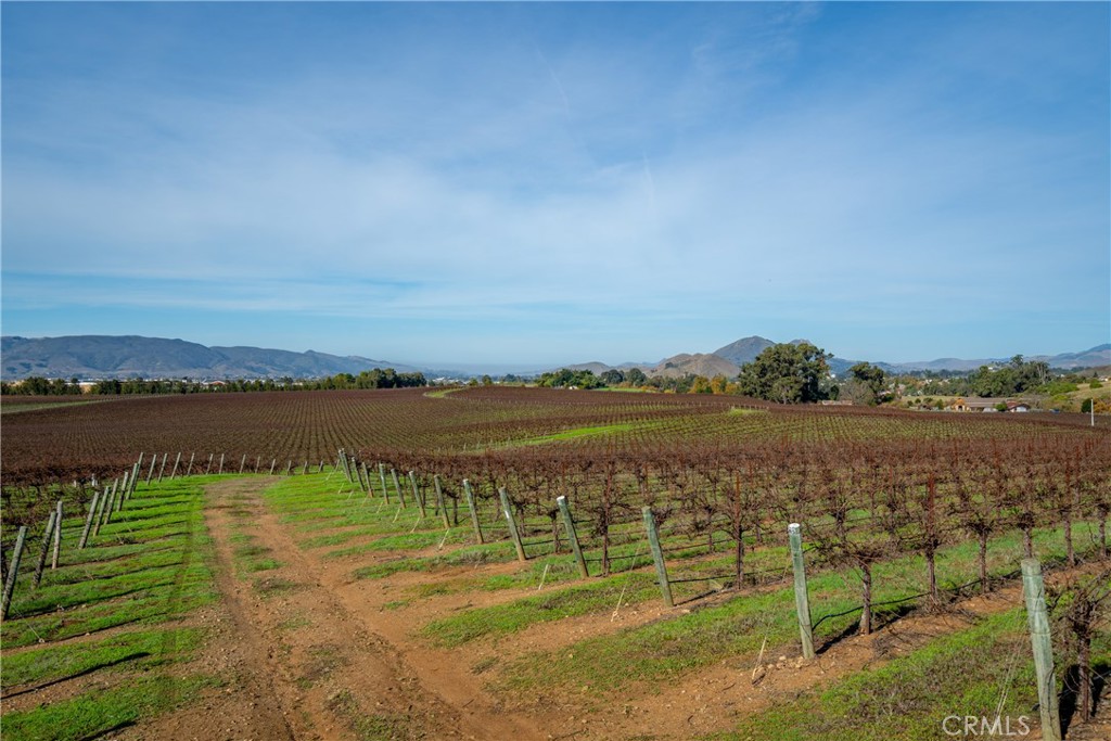 MLS #NS25231298 image #0