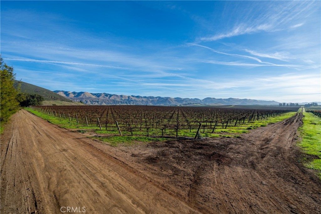 MLS #NS25231298 image #10