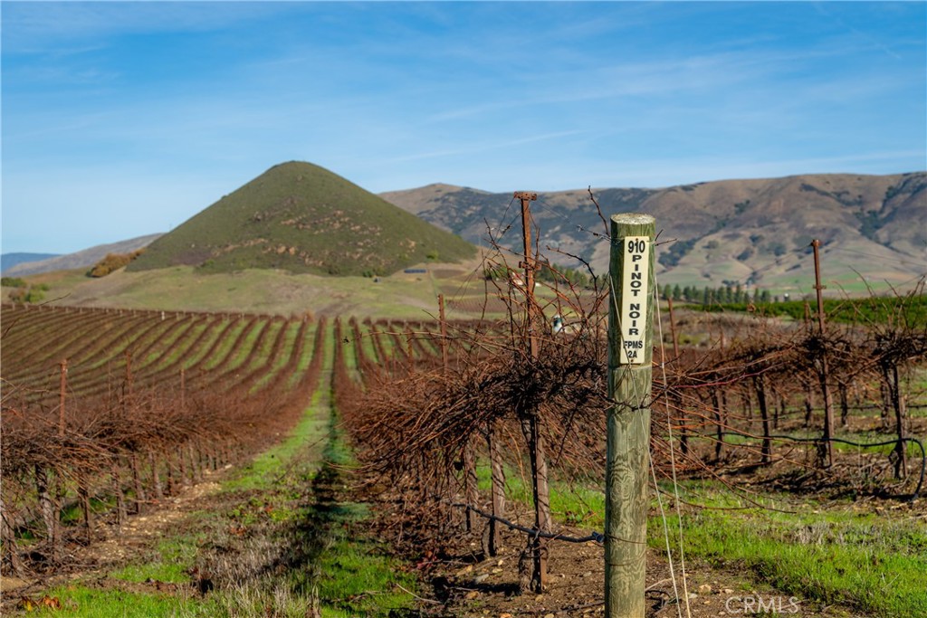 MLS #NS25231298 image #15