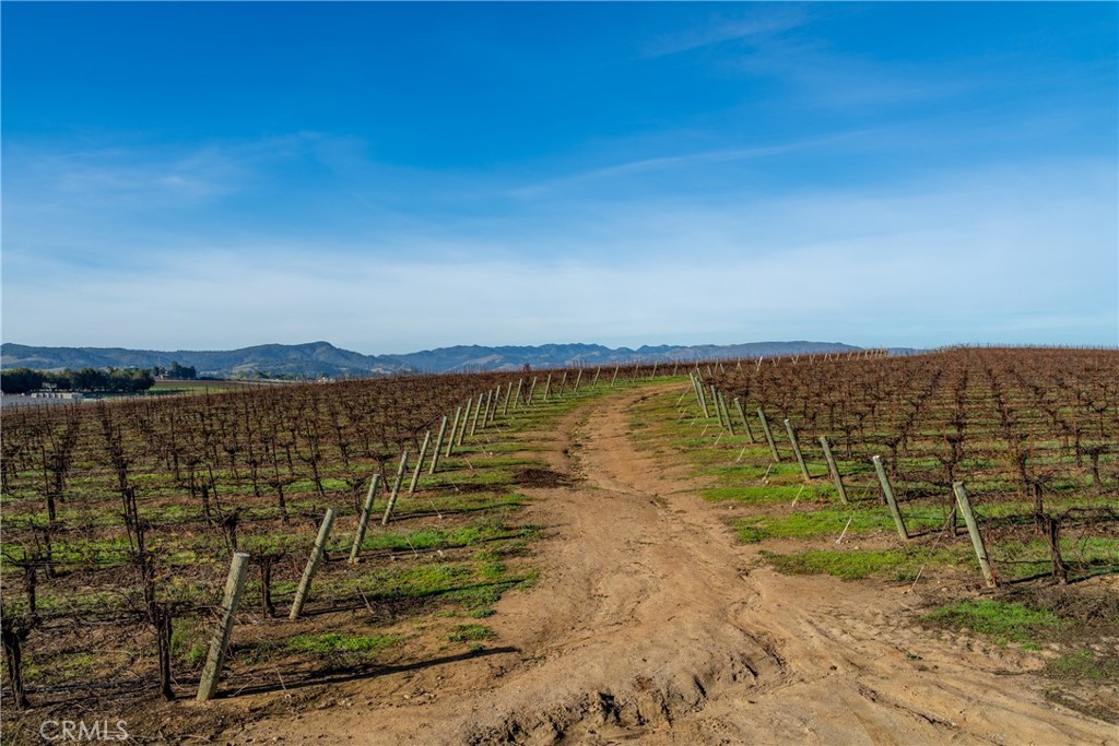 MLS #NS25231298 image #17