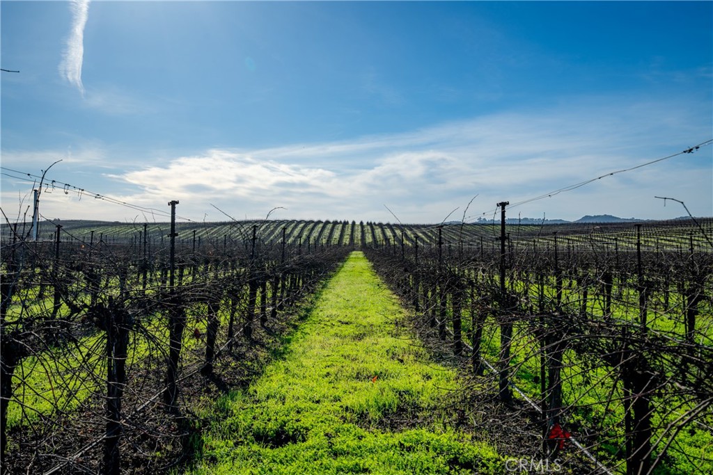 MLS #NS25231298 image #4