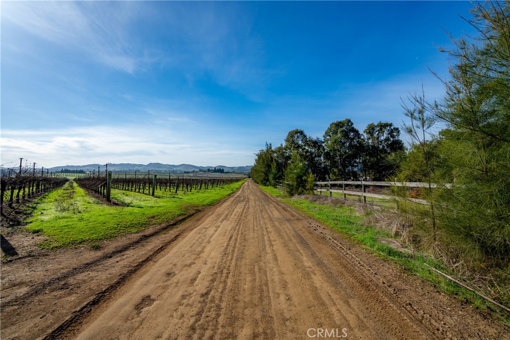 MLS #NS25231298 image #6