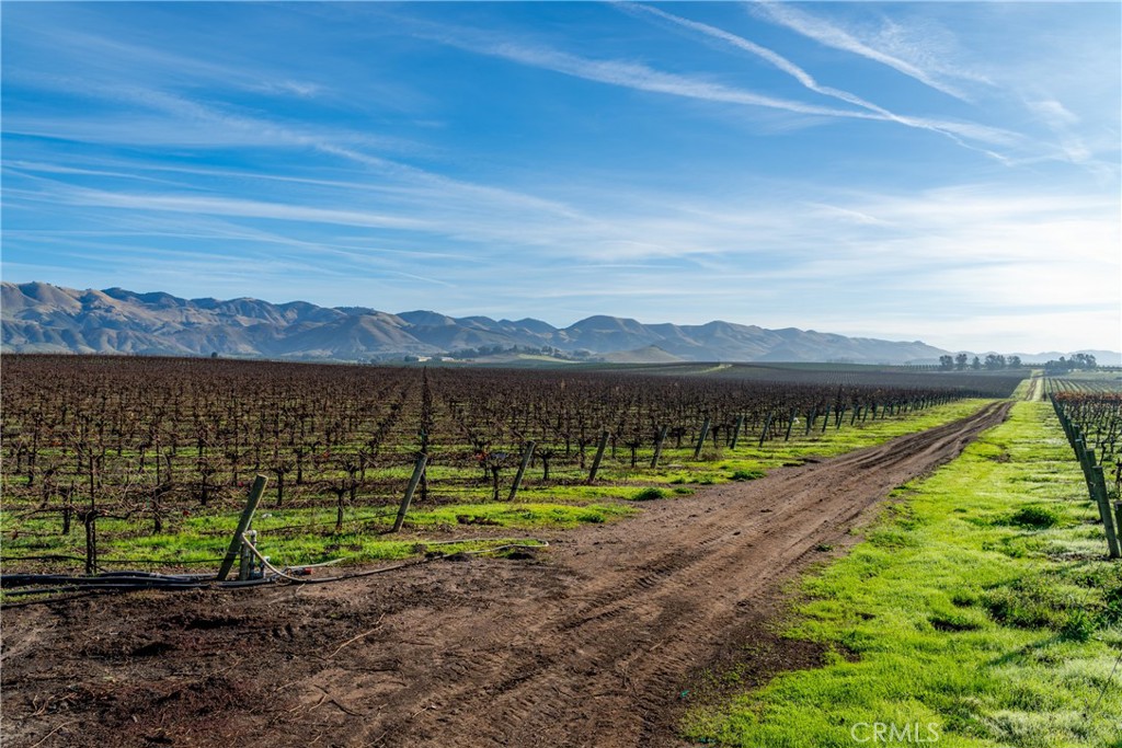 MLS #NS25231298 image #8