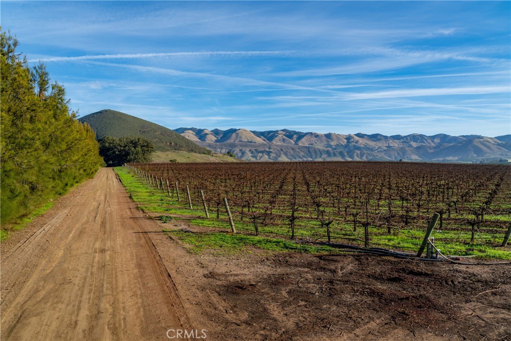 MLS #NS25231298 image #9