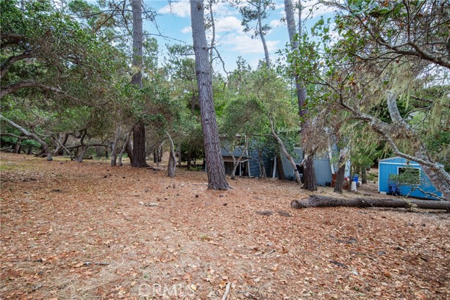 MLS #NS25231762 image #33