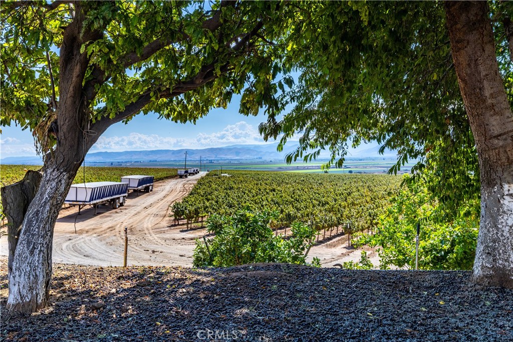 MLS #NS25235020 image #20