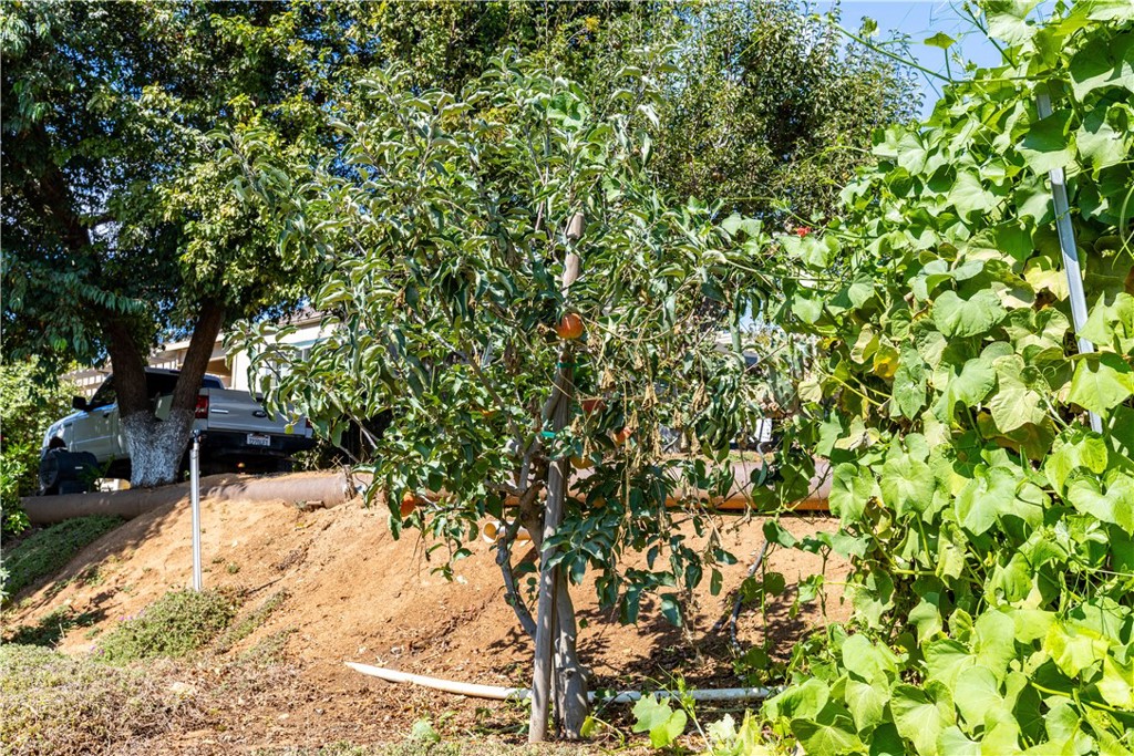 MLS #NS25235020 image #22