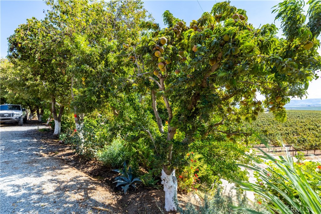 MLS #NS25235020 image #23