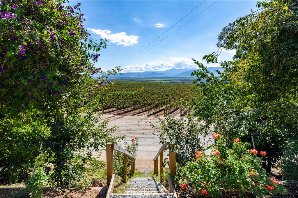 MLS #NS25235020 image #24