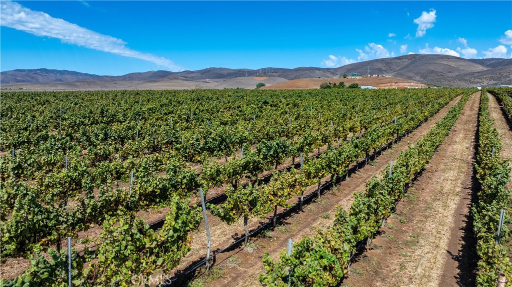 MLS #NS25235020 image #32