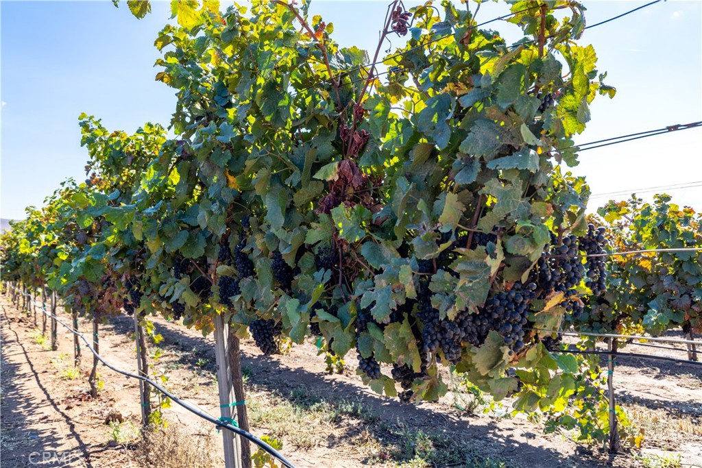 MLS #NS25235020 image #33