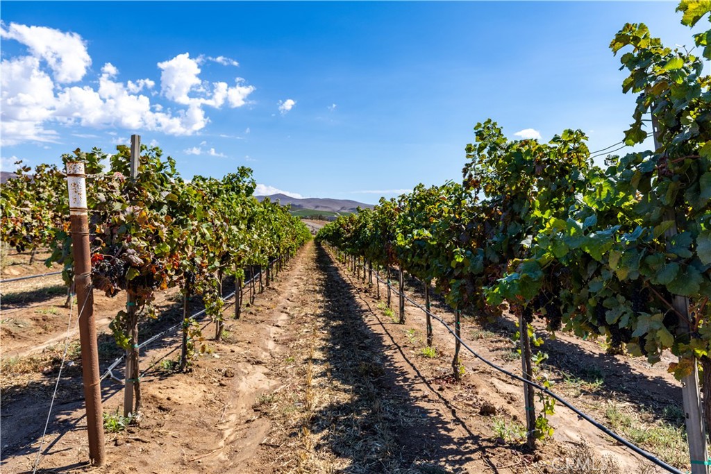 MLS #NS25235020 image #34