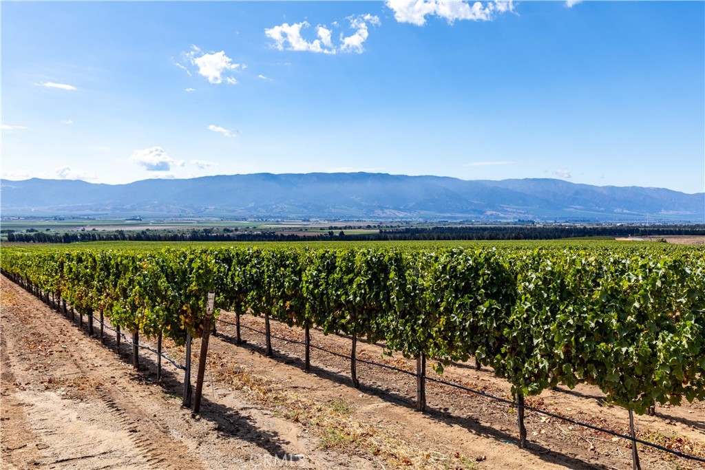 MLS #NS25235020 image #37