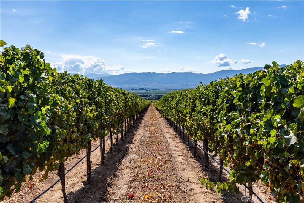 MLS #NS25235020 image #38