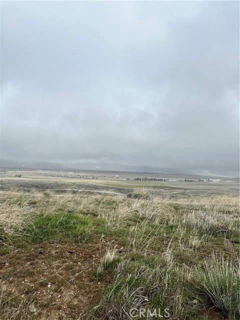 MLS #NS25236476 image #2