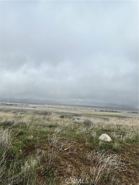 MLS #NS25236476 image #4