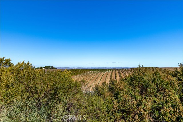 MLS #NS25240287 image #38