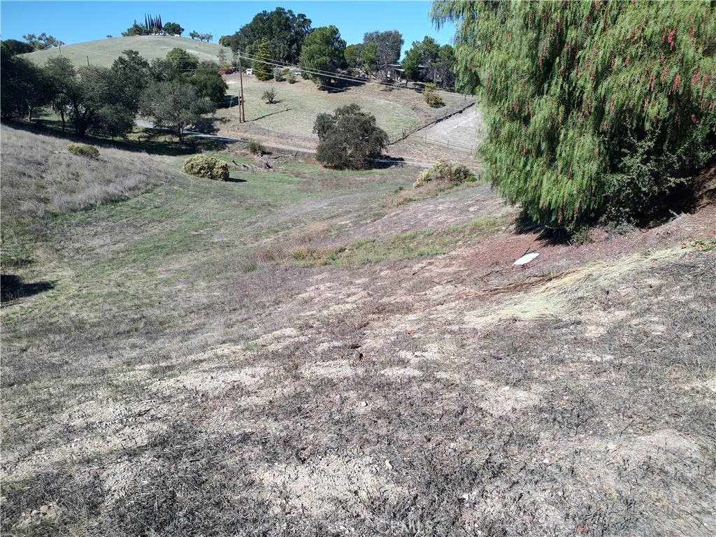 MLS #NS25248066 image #39