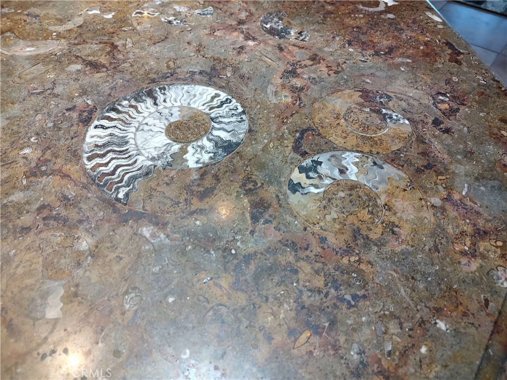 MLS #NS25248066 image #6