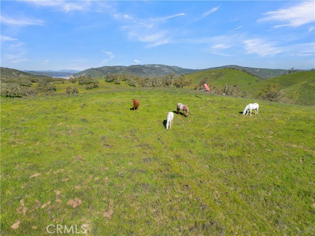 MLS #NS25248113 image #3