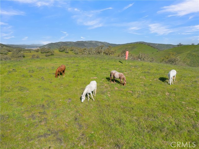 MLS #NS25248113 image #4