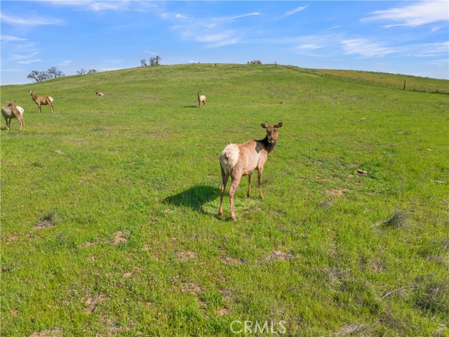 MLS #NS25248113 image #6