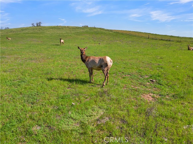 MLS #NS25248113 image #7