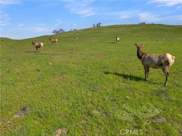 MLS #NS25248113 image #8