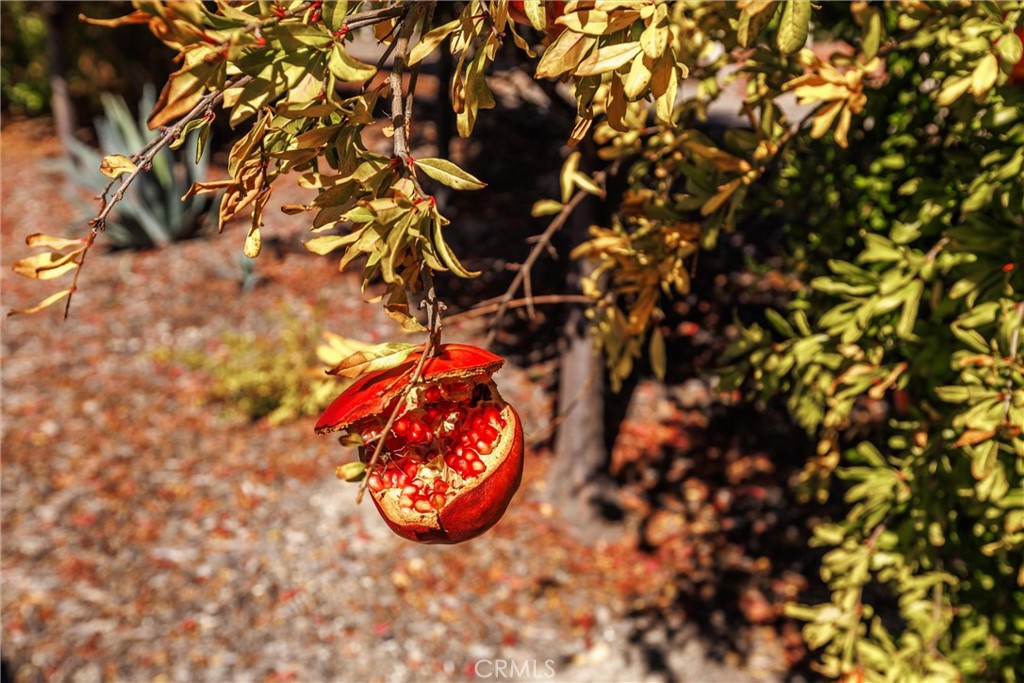 MLS #NS25250938 image #35