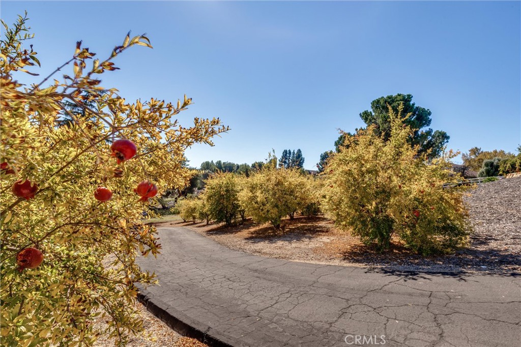 MLS #NS25250938 image #39