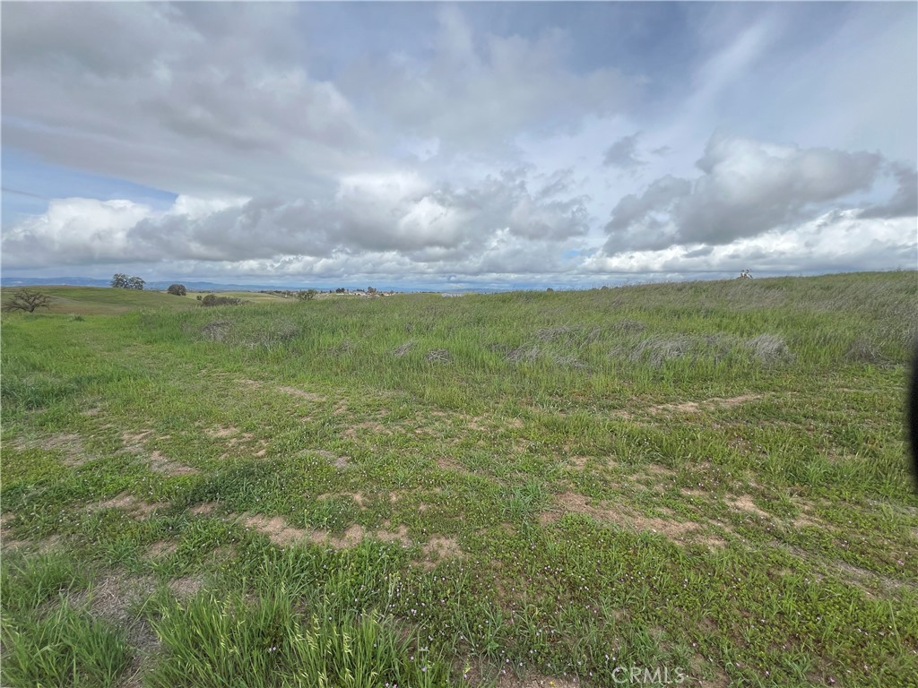 MLS #NS25251574 image #5