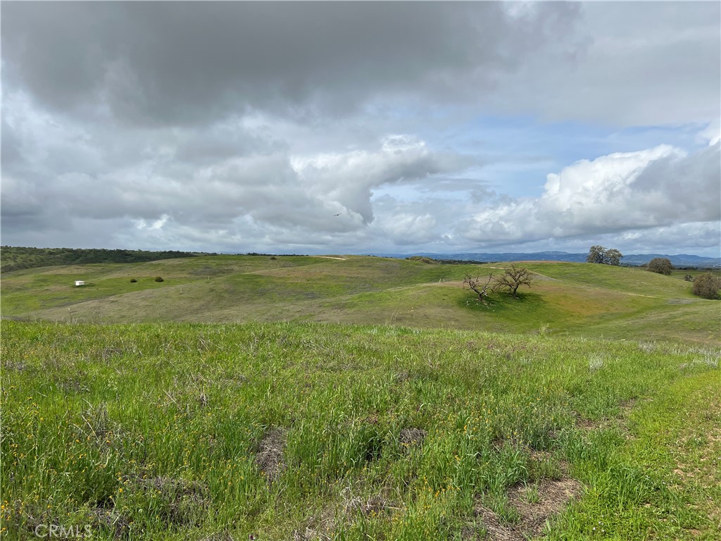 MLS #NS25251574 image #6