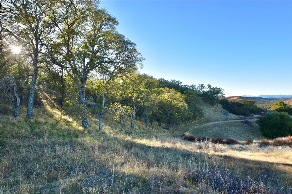 MLS #NS25251660 image #10