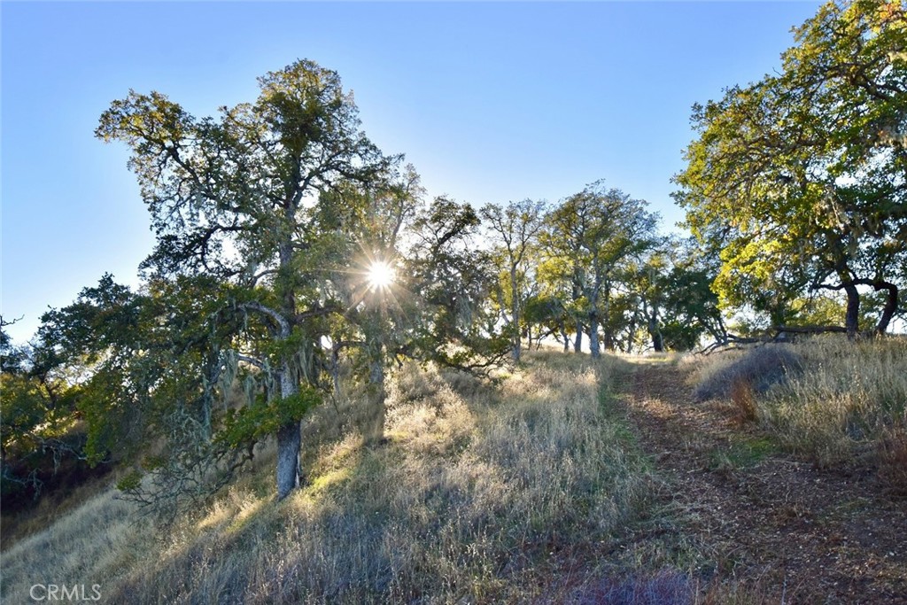 MLS #NS25251660 image #11