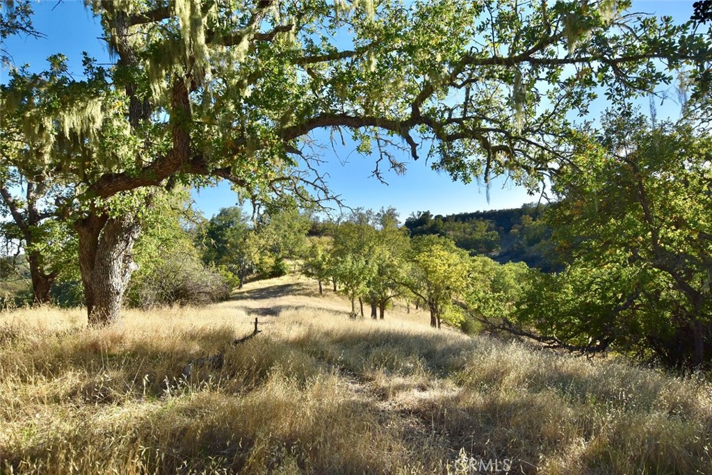 MLS #NS25251660 image #12