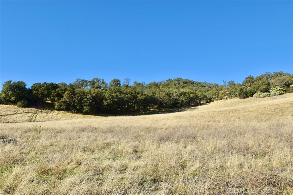 MLS #NS25251660 image #14