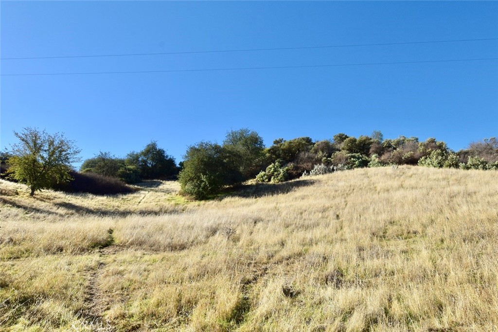 MLS #NS25251660 image #15