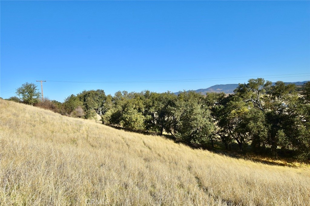 MLS #NS25251660 image #17