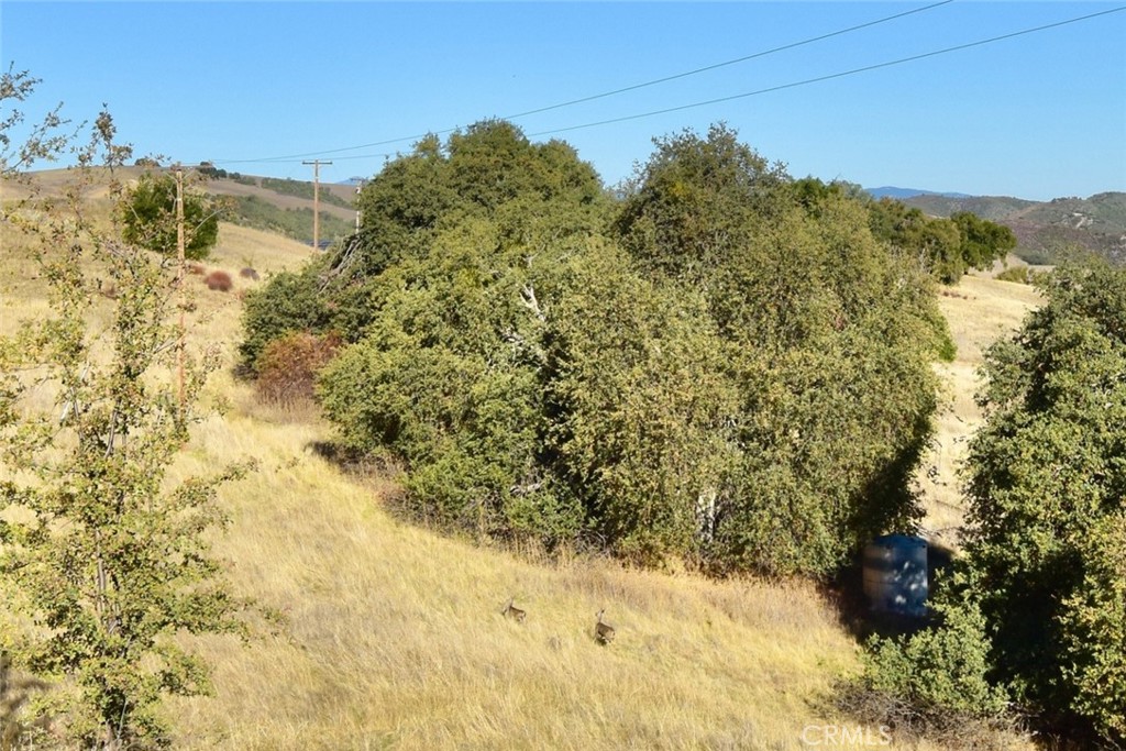 MLS #NS25251660 image #18