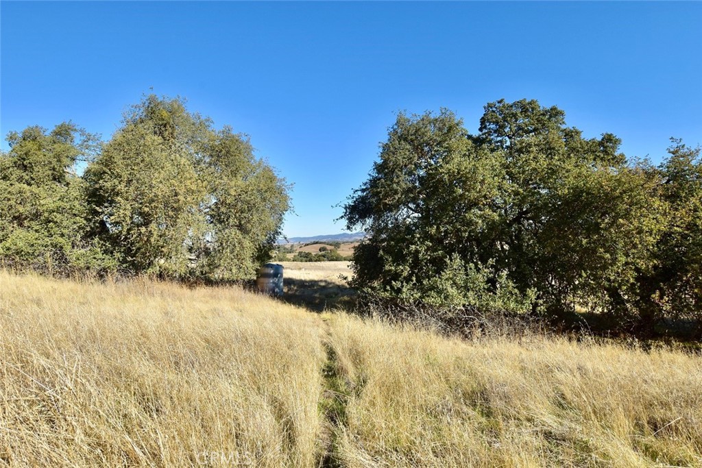 MLS #NS25251660 image #19