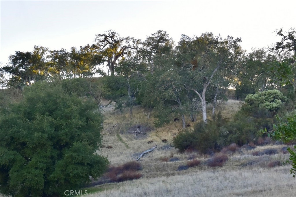 MLS #NS25251660 image #22