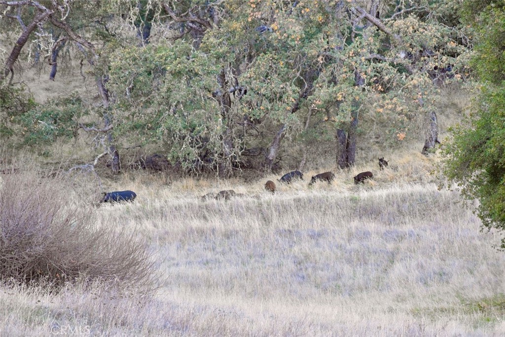 MLS #NS25251660 image #23