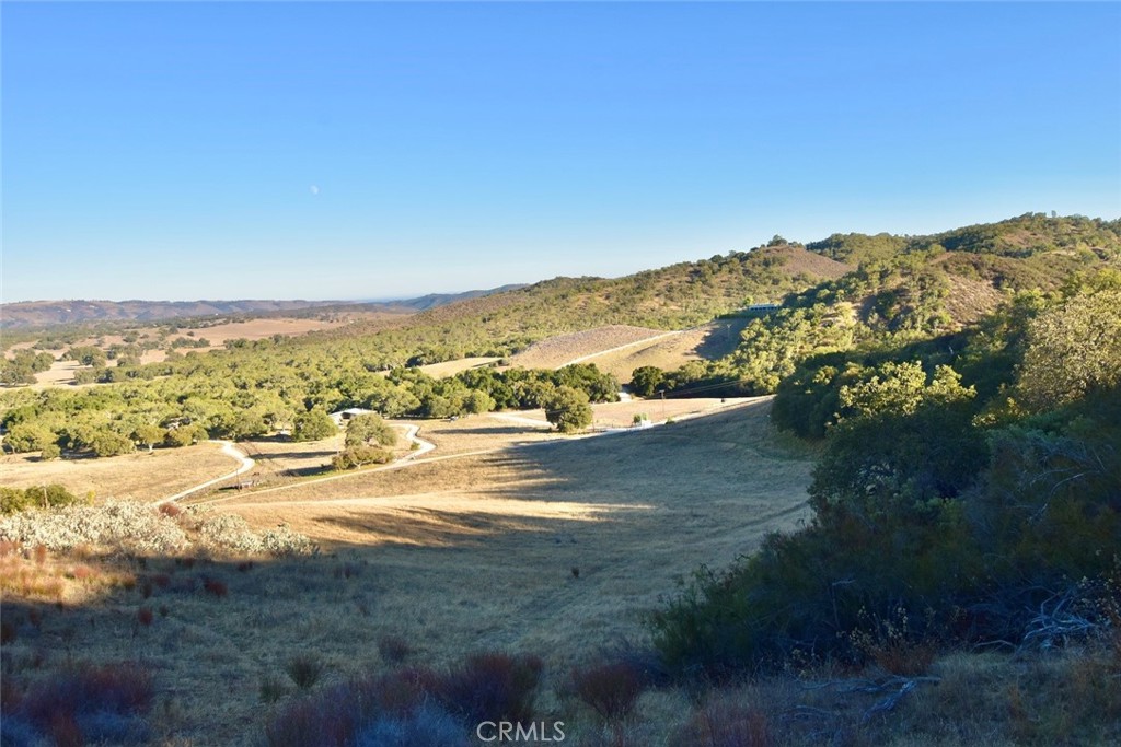 MLS #NS25251660 image #25