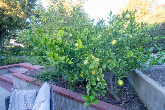 MLS #NS25253219 image #19