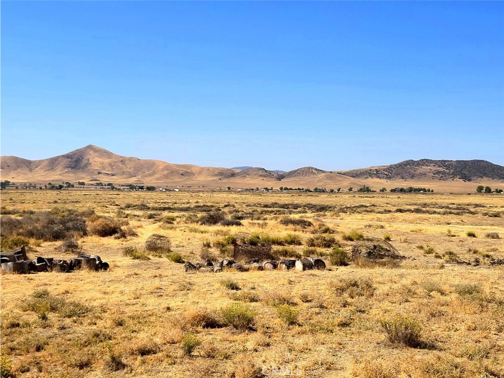 MLS #NS25254726 image #19