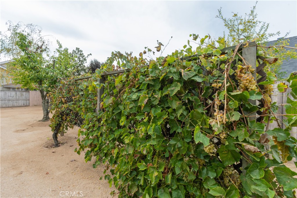 MLS #NS25256460 image #13